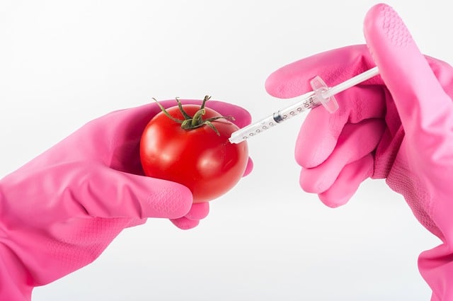 GMO GEOPOLITICS: THE UKRAINE BUCKS GMOs