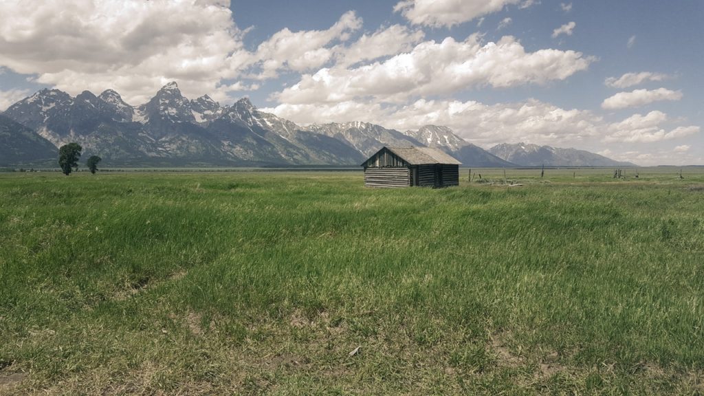 THINGS THAT MAKE YOU GO "HMMM...": CIA DOCUMENTS IN ROCKEFELLER BARN