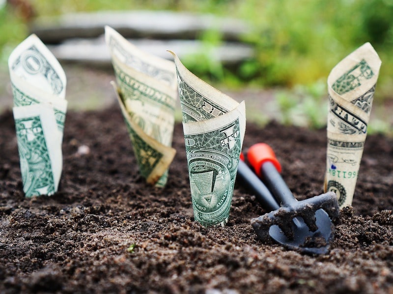 https://pixabay.com/en/money-grow-interest-save-invest-1604921/