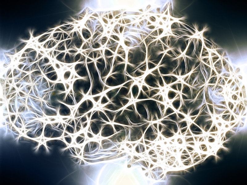 https://pixabay.com/en/neurons-brain-cells-brain-structure-1739997/