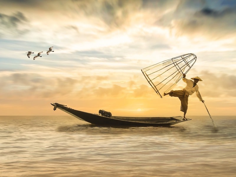 https://pixabay.com/photos/fisherman-fishing-boat-boat-fishing-2739115/