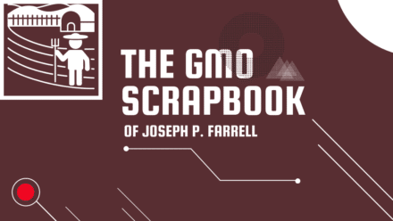 GMOs | GMO Scrapbook